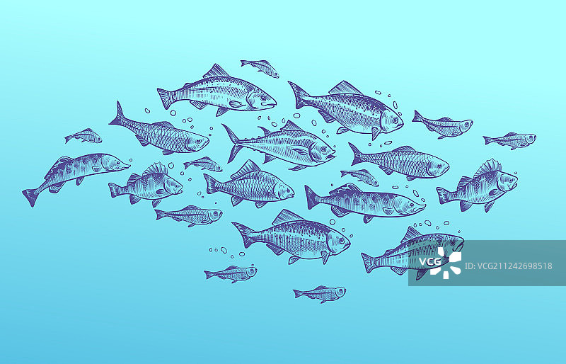 手绘鱼群素描图片素材