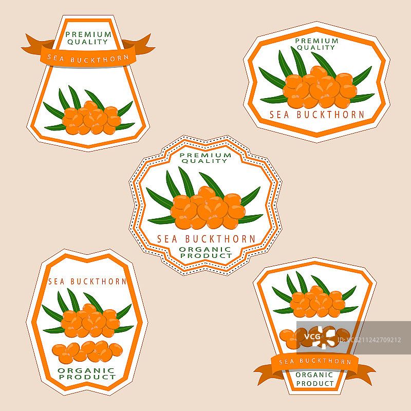 沙棘主题图片素材