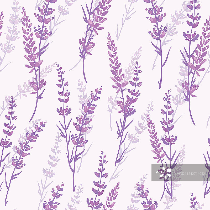 紫色薰衣草花卉无缝图案图片素材