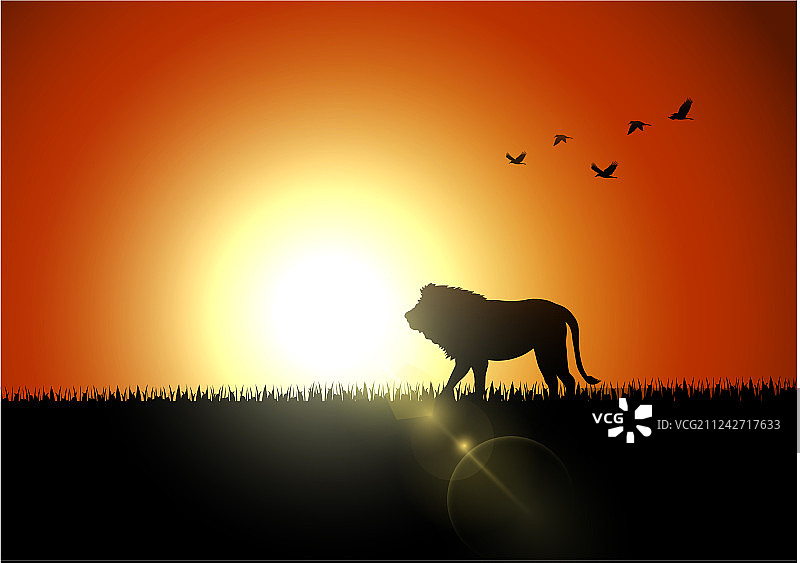 日落时分非洲草原上的狮子轮廓图片素材