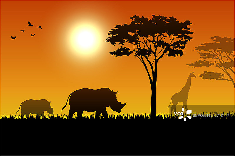 稀树草原上的犀牛轮廓图片素材