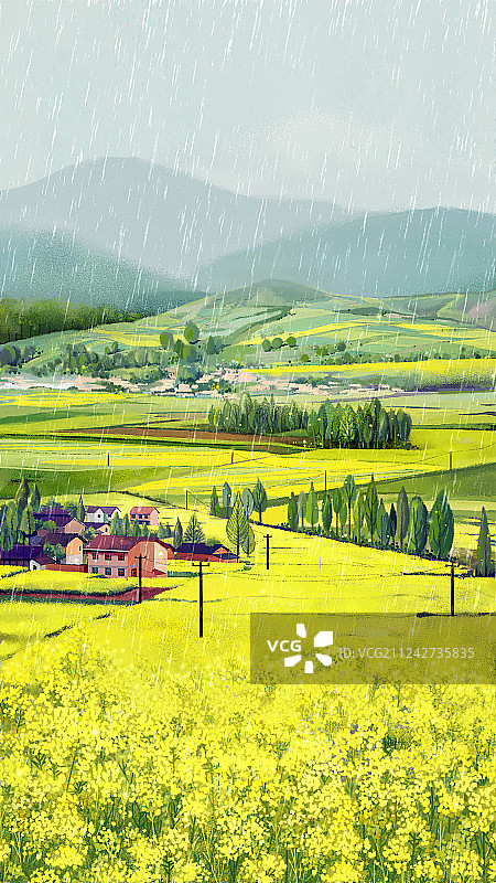 油菜花田图片素材