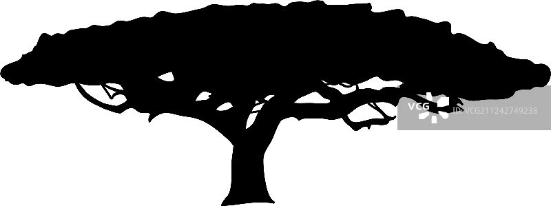 刺槐树植物剪影图标图片素材