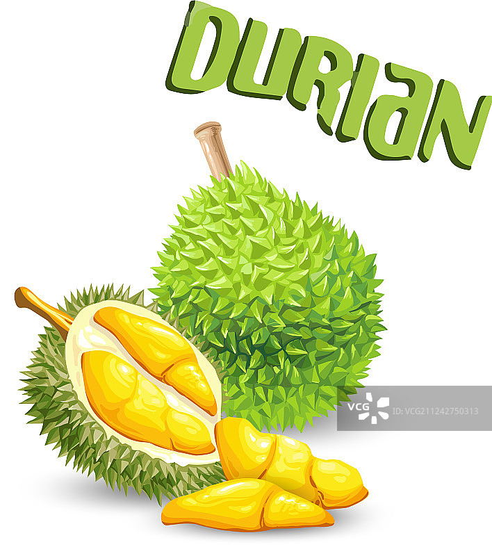 榴莲水果白色背景图片图片素材
