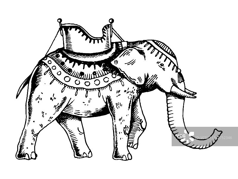 印度象雕刻图案图片素材