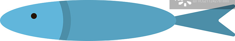 白色背景平铺凤尾鱼图片素材