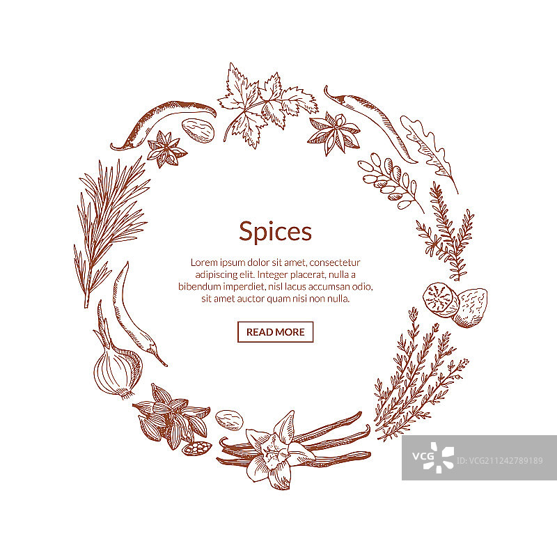手绘香草和香料图片素材