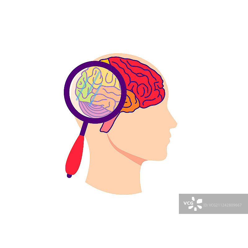 大脑测试概念图片素材