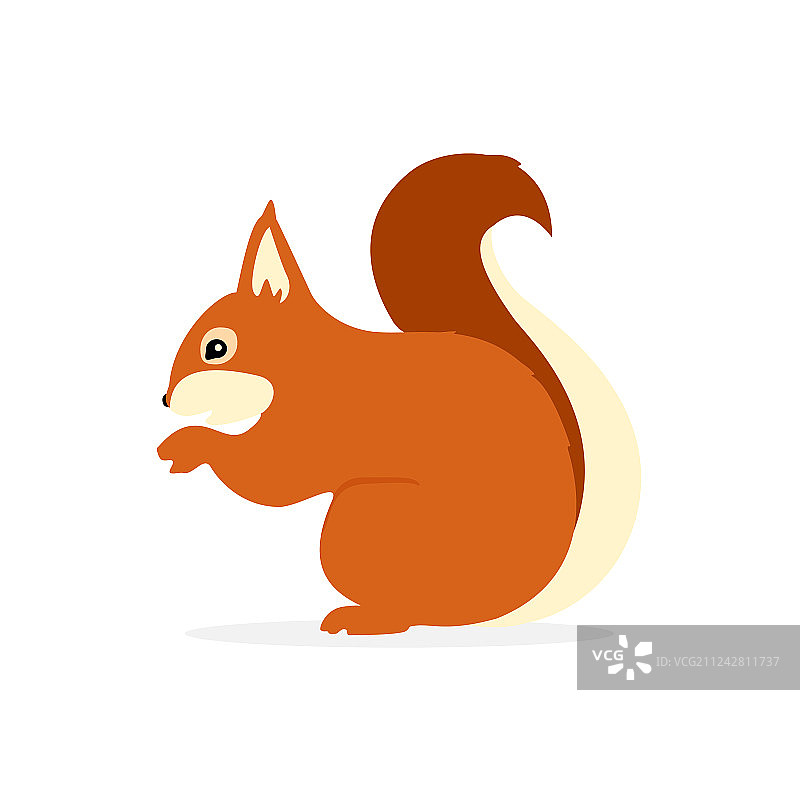 可爱的小松鼠角色图片素材
