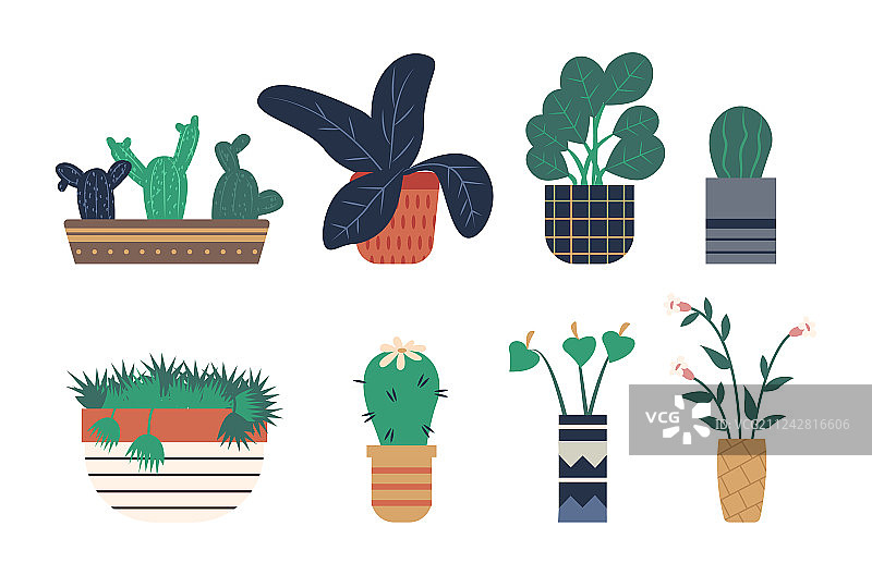 温室植物盆栽类型图片素材