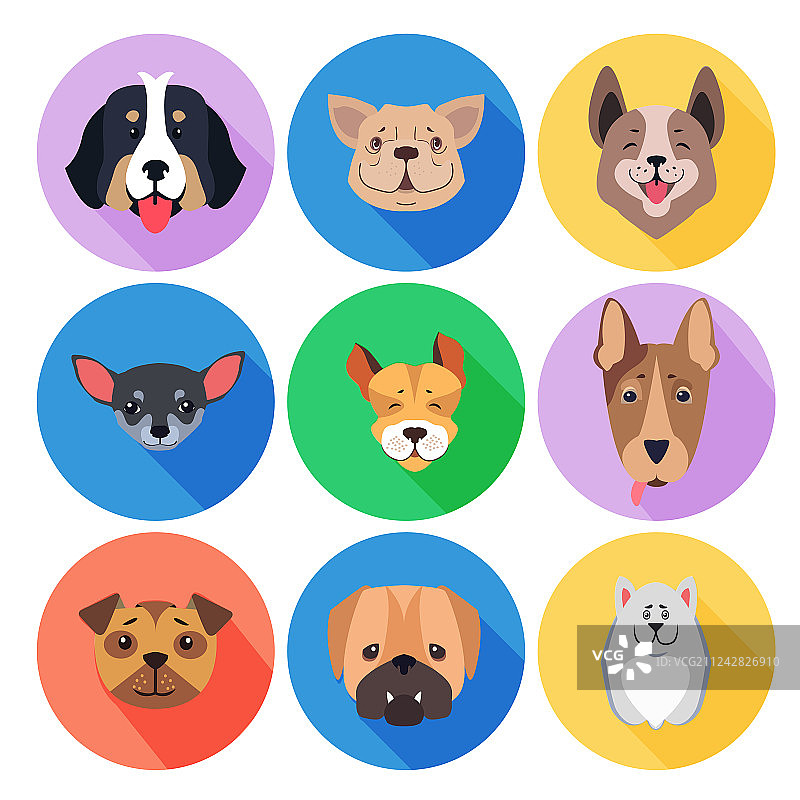 彩色圆形图标上的纯种犬概念图片素材
