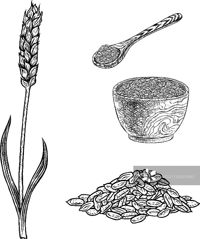 手绘碗装斯佩尔特植物粥素材图片素材