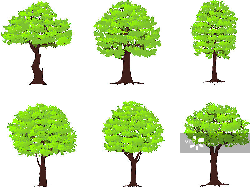 树木合集图片素材