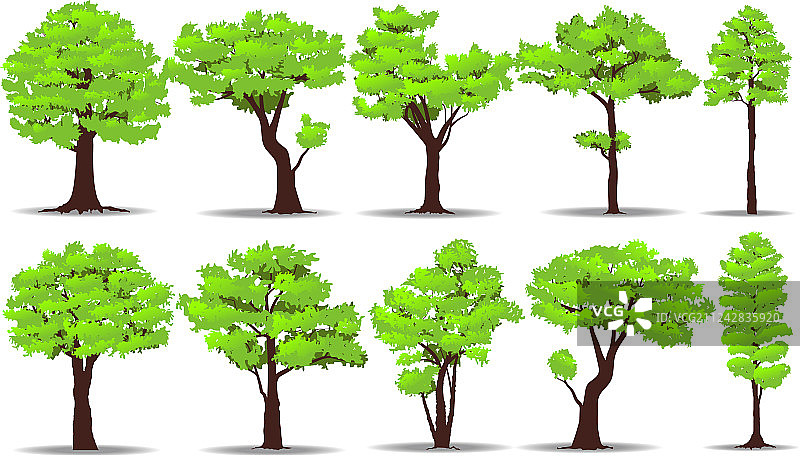 树木合集图片素材