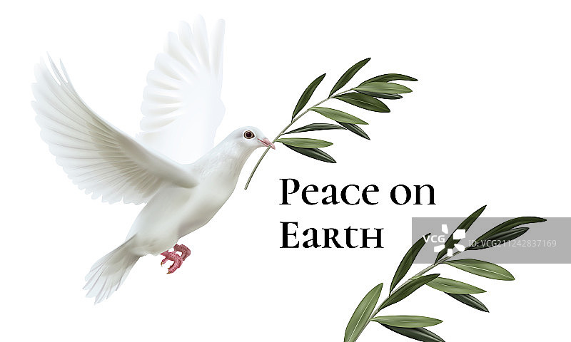 飞翔的白色和平鸽图片素材