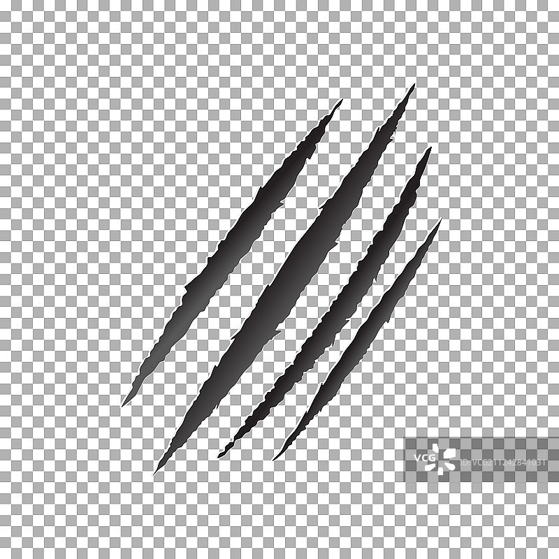 动物爪子抓痕图片素材