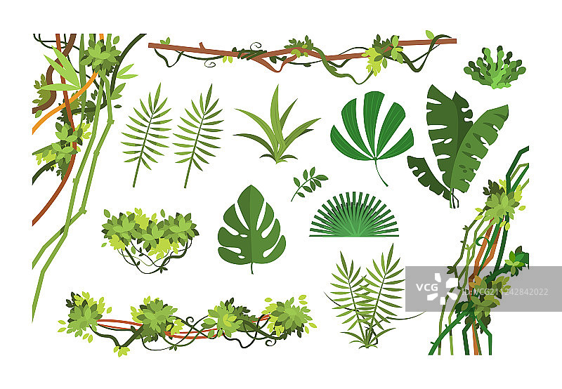 丛林藤蔓卡通雨林树叶和藤本植物图片素材