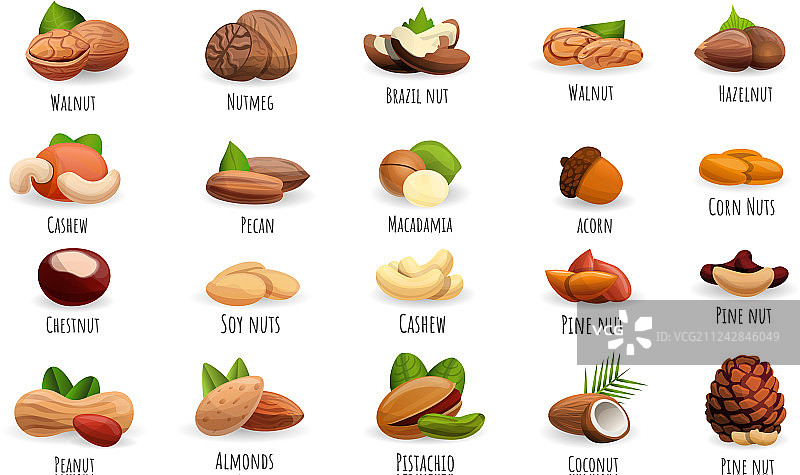 坚果图标卡通风格合集图片素材