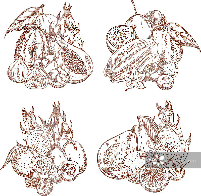 手绘热带异国水果图片素材