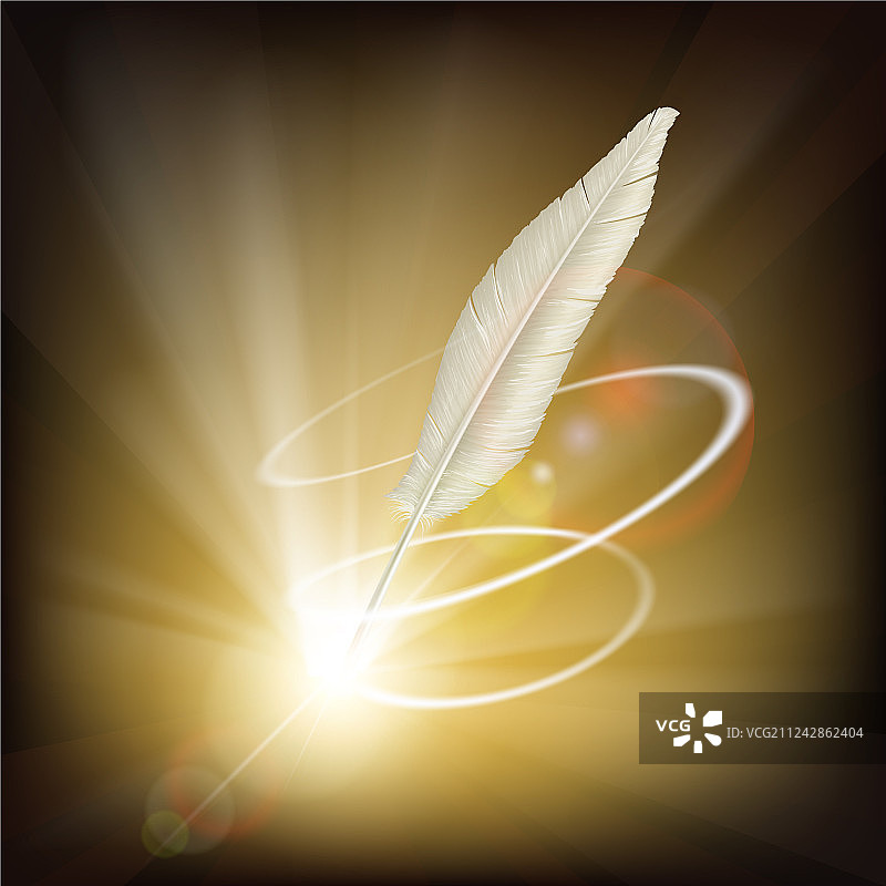 书写用羽毛图片素材