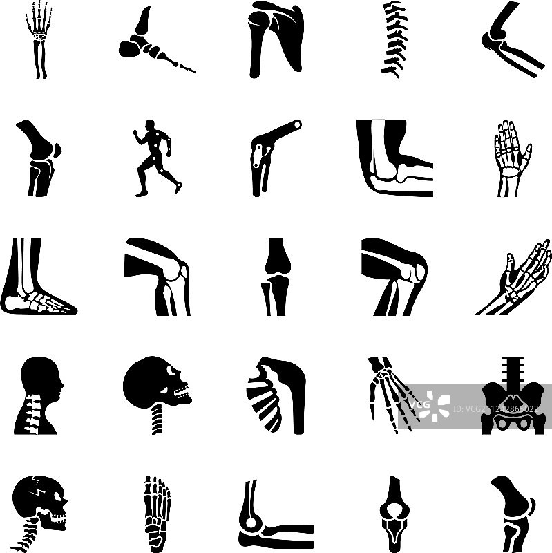 骨科和脊柱实心图标合集图片素材