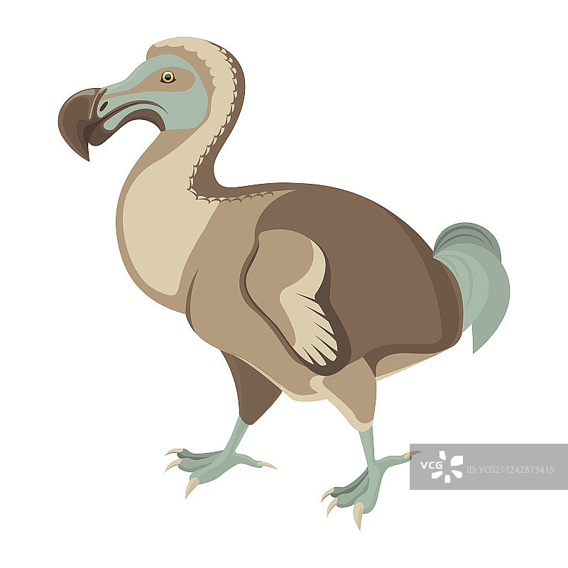 有着短翅膀的奇异大渡渡鸟图片素材
