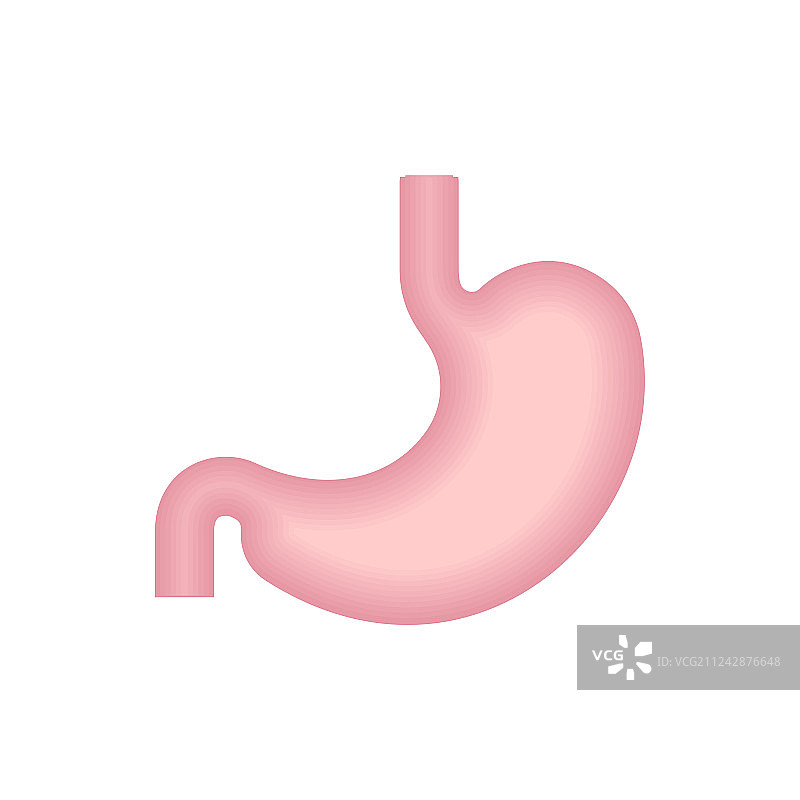 孤立的胃部图标内脏标志图片素材