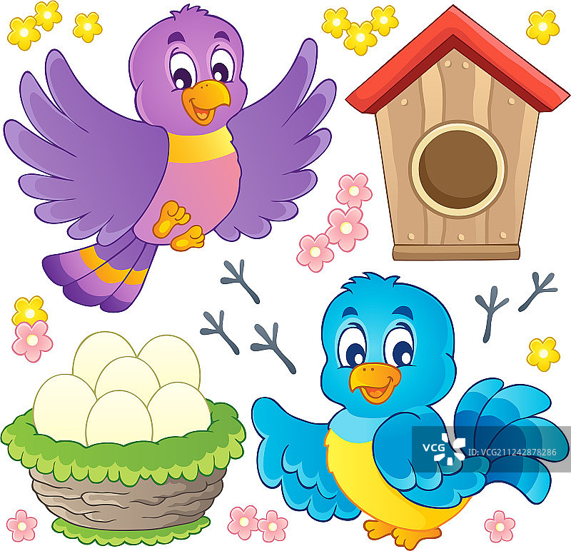 鸟类主题图片9图片素材