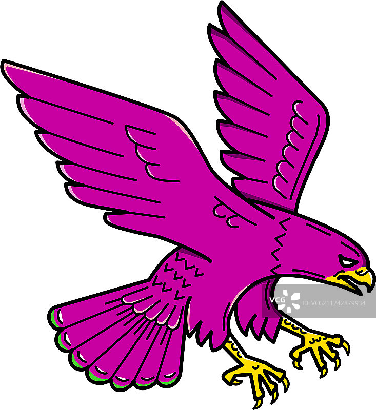 游隼俯冲单线图图片素材