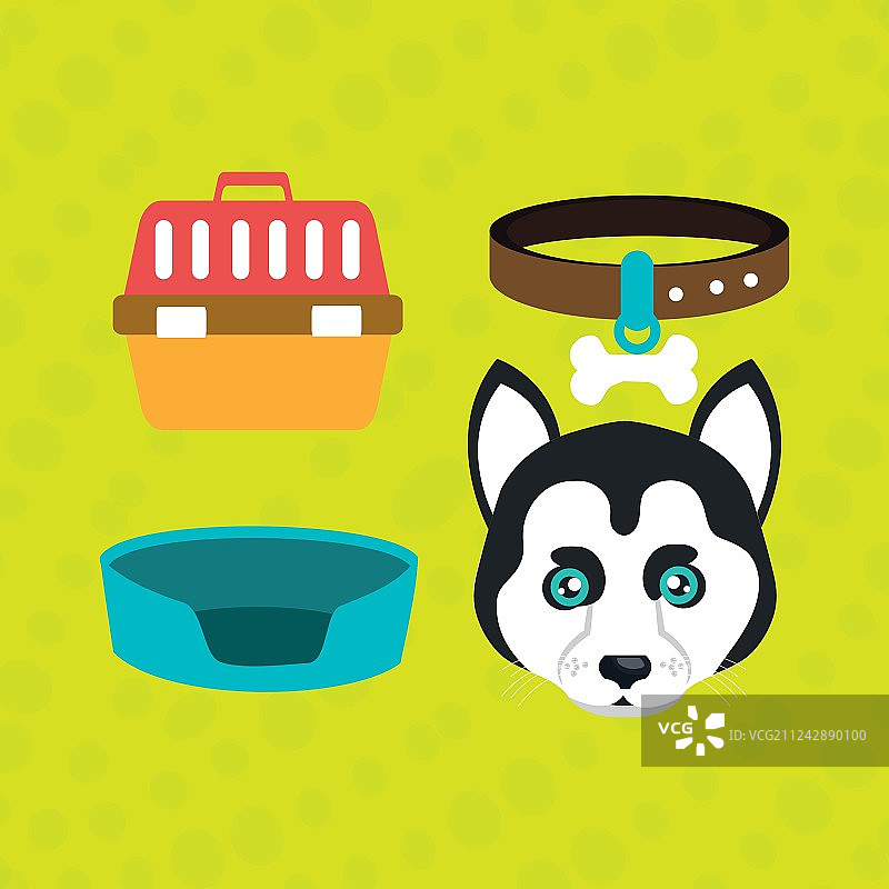 狗 狗牌 项圈图片素材