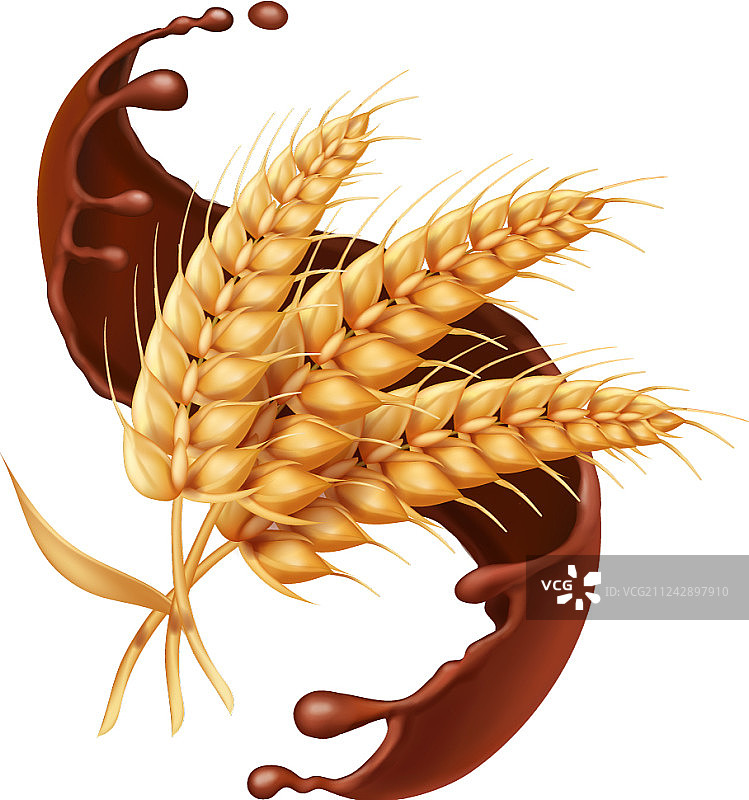 巧克力飞溅效果的大麦或小麦穗图标图片素材