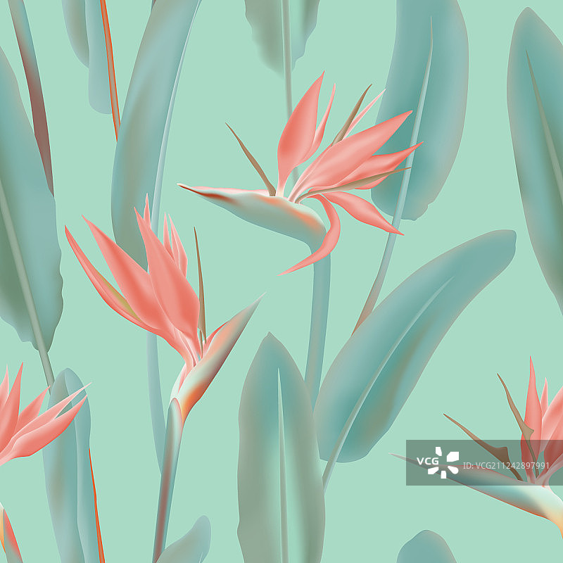 粉色南非热带花卉无缝图案图片素材