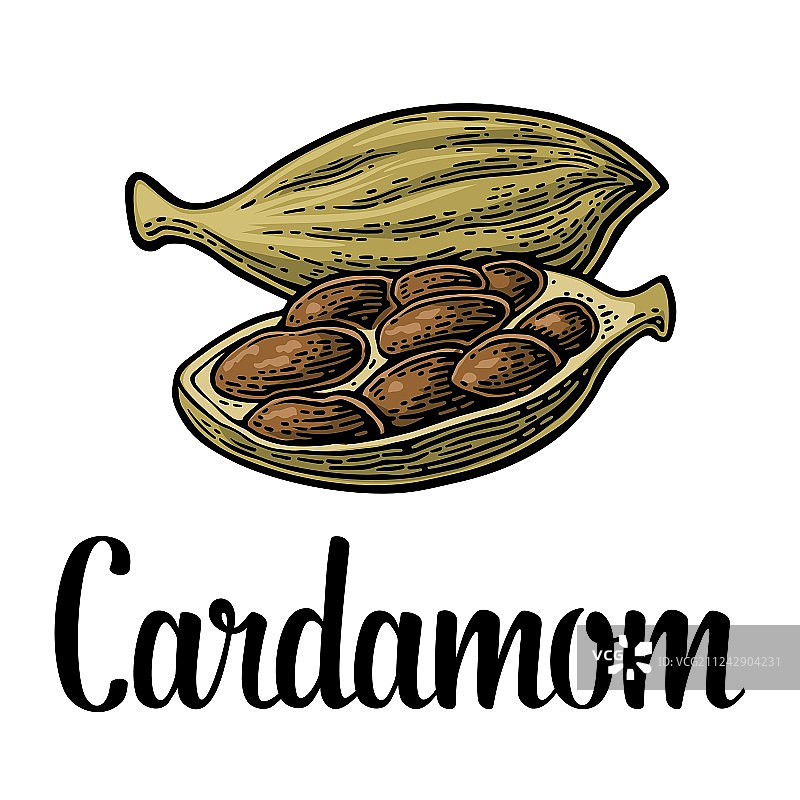 黑色复古豆蔻香料图片素材
