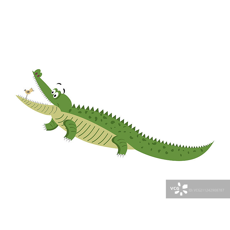 卡通鳄鱼与张大嘴巴的小鸟图片素材
