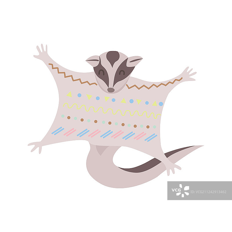 风格化的蜜袋鼯，白色背景图片素材