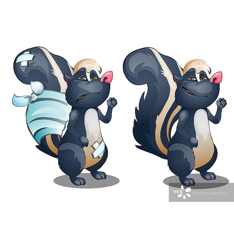 健康与患病的可爱情侣臭鼬图片素材