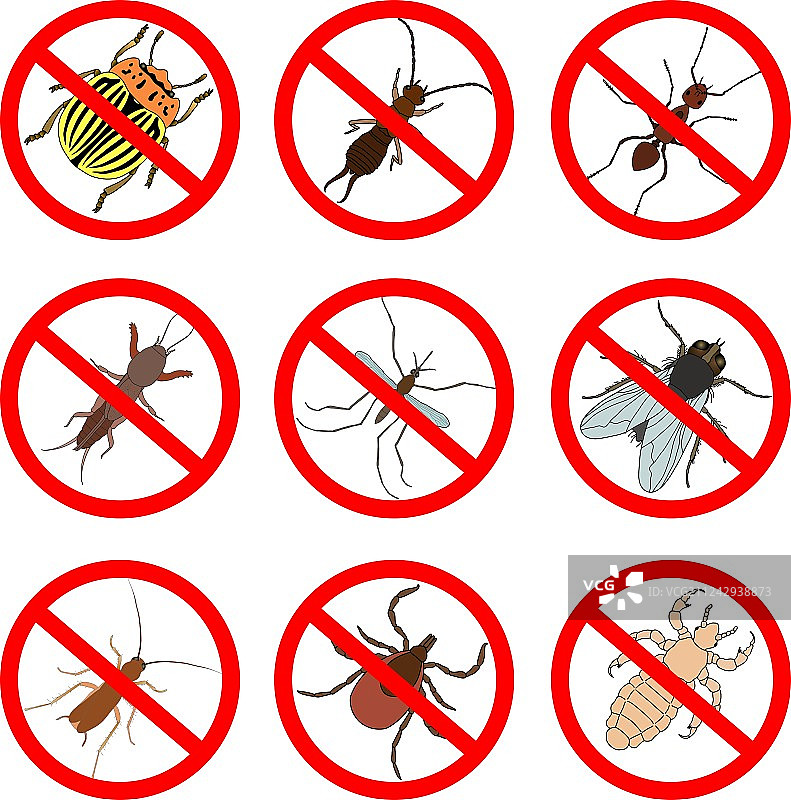 害虫和昆虫防治图标设置图片素材