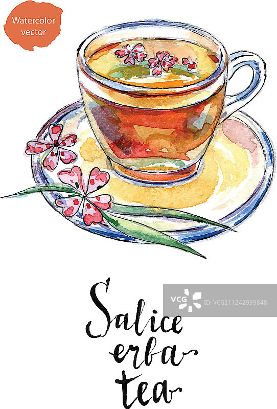 水彩风格的柳叶马鞭草茶玻璃杯图片素材