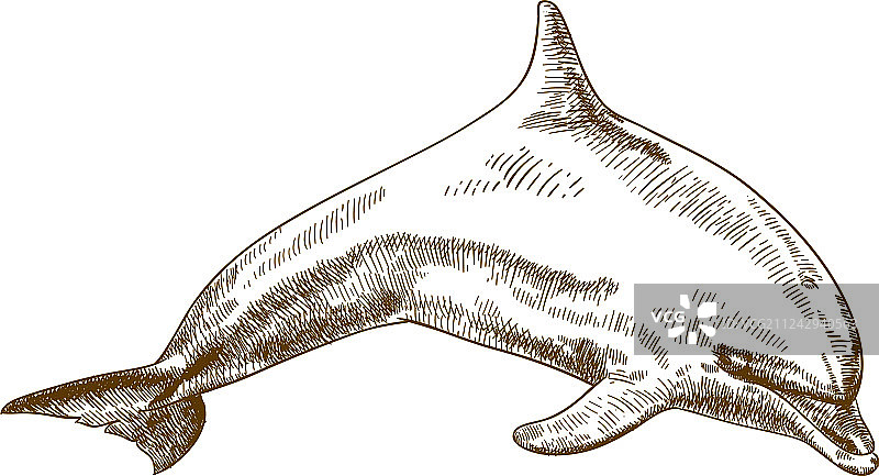 跳跃的海豚雕刻绘画图片素材