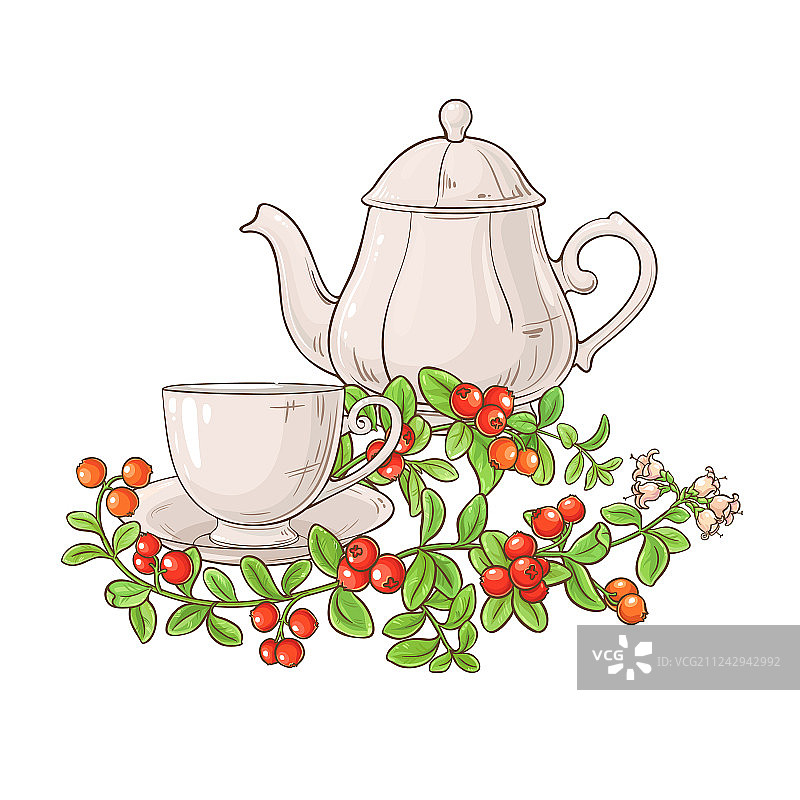 蔓越莓茶图片素材