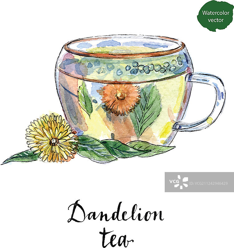 玻璃杯装健康蒲公英茶图片素材