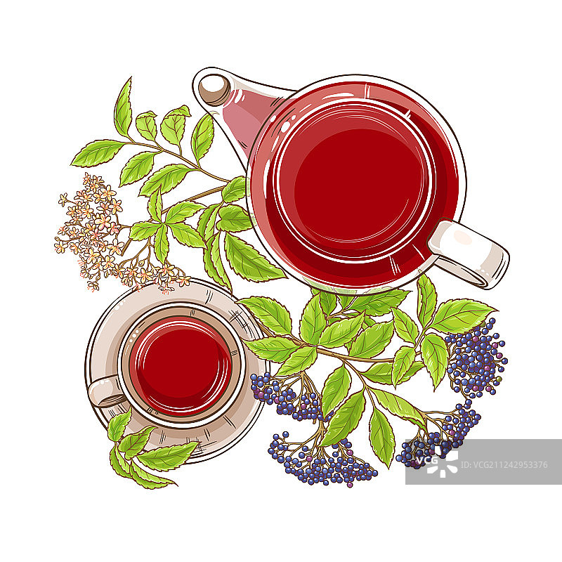 接骨木茶图片素材