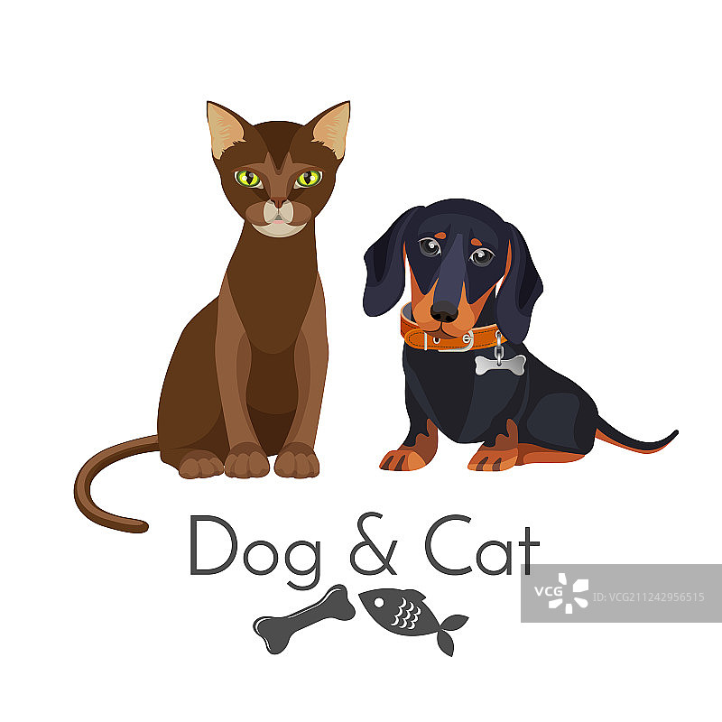 纯种猫狗促销海报图片素材