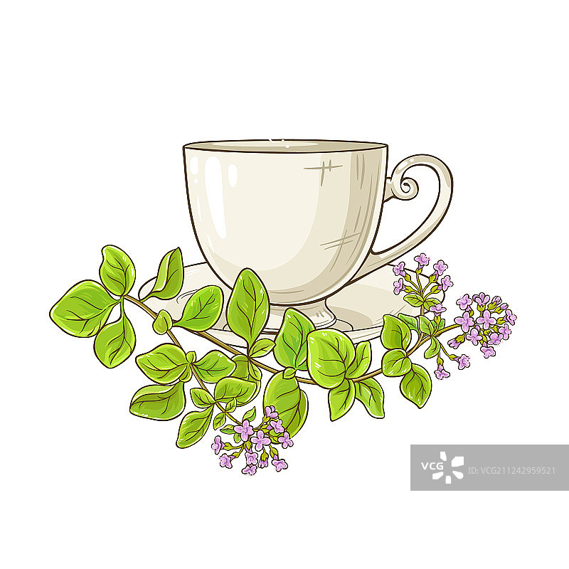 牛至茶图片素材