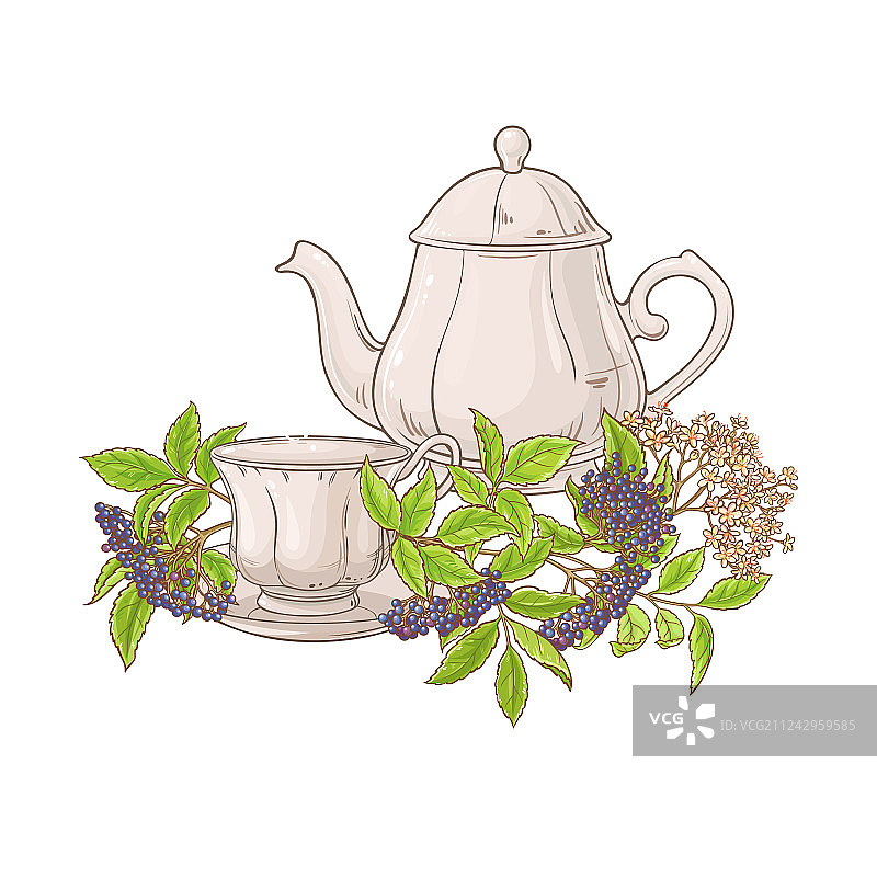 接骨木茶图片素材