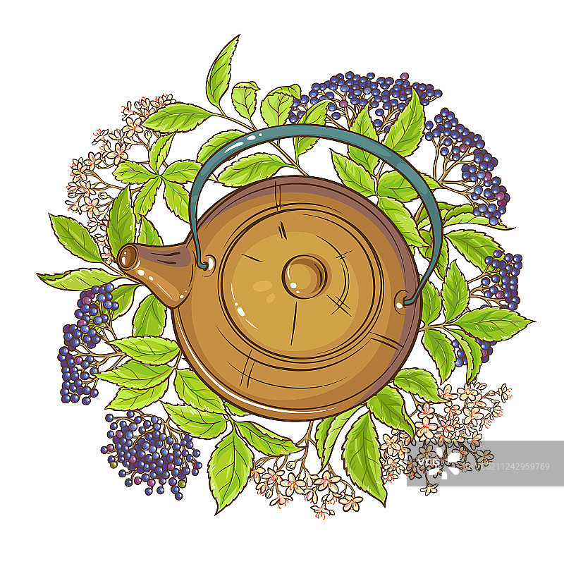 接骨木茶图片素材