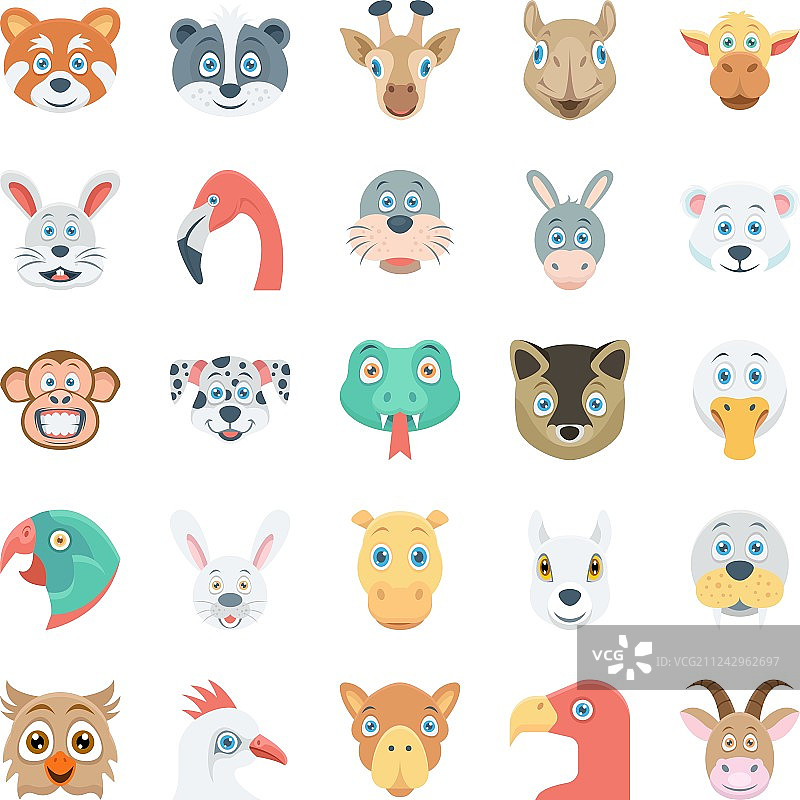 鸟类和动物面部-4图片素材