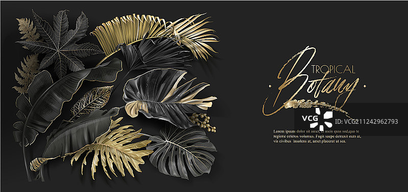 金色热带树叶植物学banner图片素材