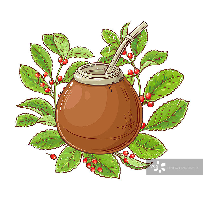 马黛茶图片素材