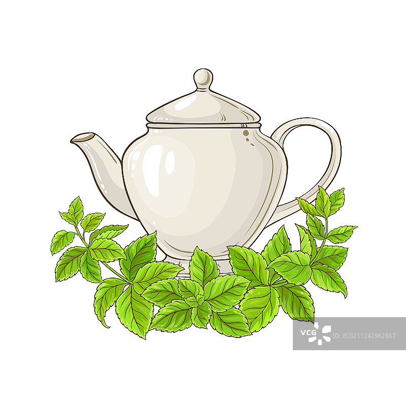 蜜蜂花茶图片素材